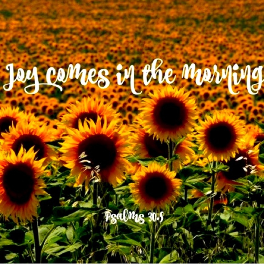 Meet your Posher, Norma